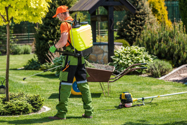 Best Fumigation Services  in Rome, NY